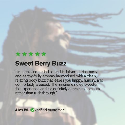 Purple Panty Dropper Flower - THCA - Indica - Thumbnail 6