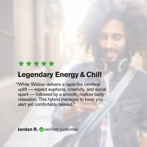 White Widow Flower - THCA - Hybrid - Thumbnail 6