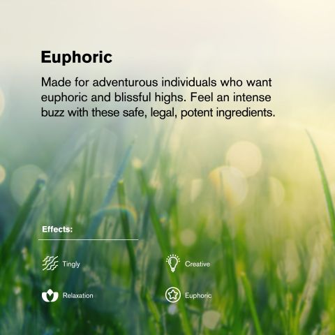 Sugar Tartz Flower - THCA - Hybrid - Thumbnail 5