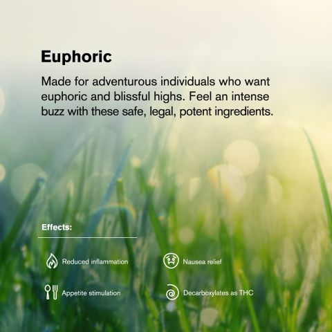 Super Lemon Haze Flower - THCA - Sativa - Thumbnail 5