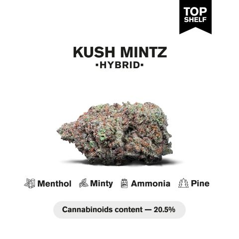 Kush Mintz Flower - THCA - Hybrid - Thumbnail 3