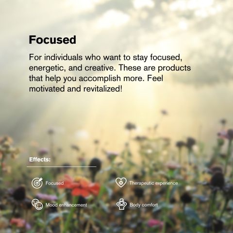 25mg CBC Nano Tablets - Unflavored - Chill Plus - Thumbnail 7