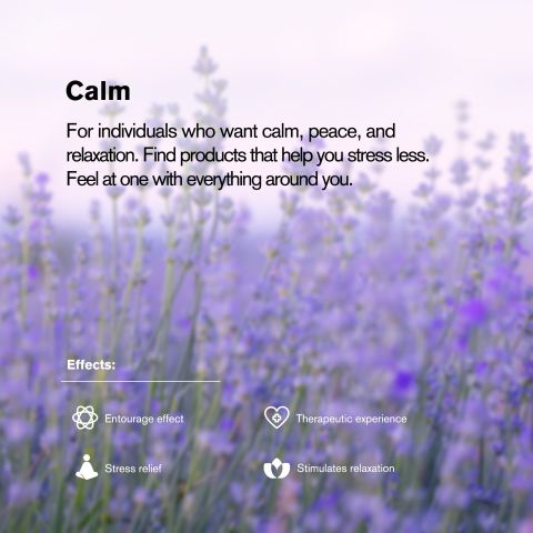 50mg Broad Spectrum CBD Tablets - Grape - Chill Plus - Thumbnail 7