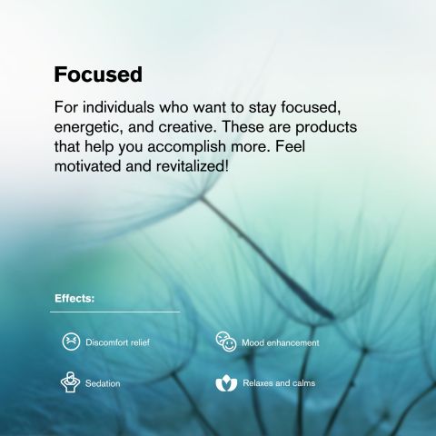 50mg Tablets - Blueberry - Chill Plus - Thumbnail 7