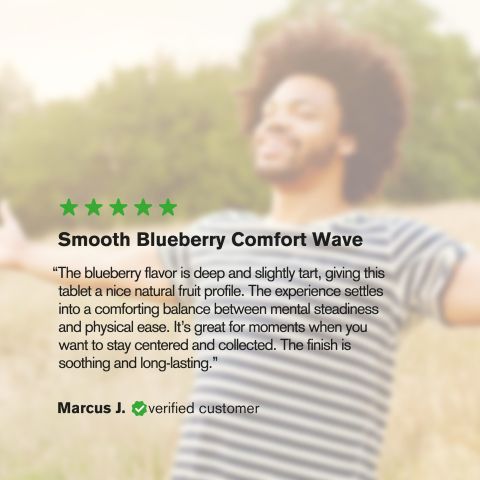 50mg Tablets - Blueberry - Chill Plus - Thumbnail 8