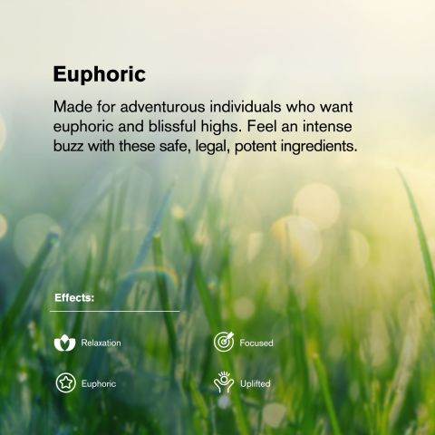 Jokerz Candy Flower - THCA - Hybrid - Thumbnail 5