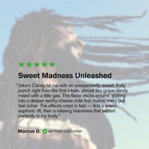 Jokerz Candy Flower - THCA - Hybrid - Thumbnail 6