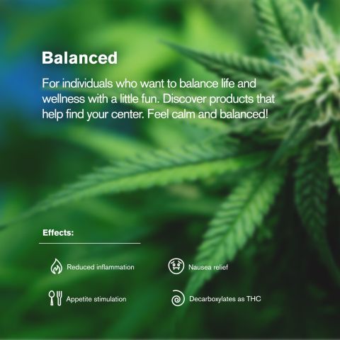 Hybrid Blend Trim Flower - THCA - Hybrid - Thumbnail 5