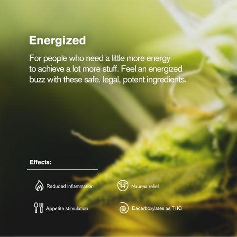 Sativa Blend Trim Flower - THCA - Sativa - Thumbnail 5