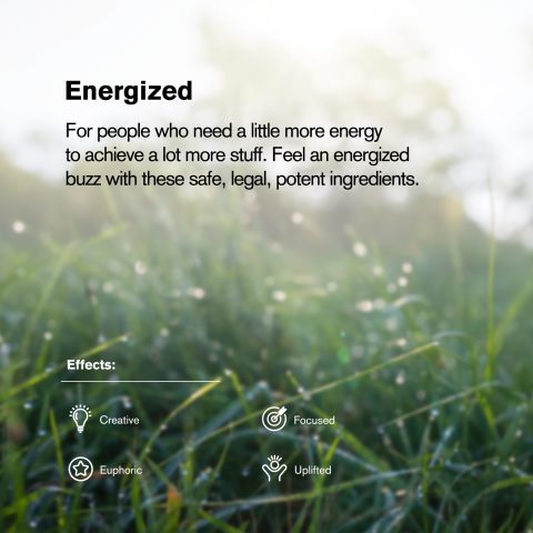 Black Cherry Gelato Flower - THCA - Indica - Thumbnail 5