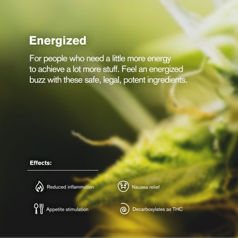 Sativa Blend Ground Flower - THCA - Sativa - Thumbnail 5
