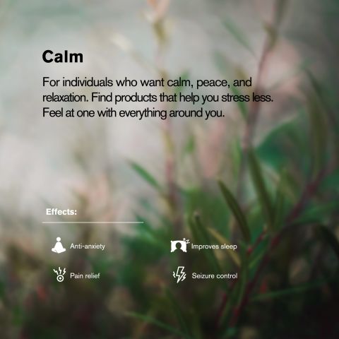 1,500mg CBD Isolate Tablets - Green Apple - Thumbnail 7