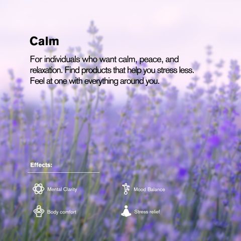 50mg L-Theanine, L-THP, Ashwagandha Tablets - Peach Citrus - Chill Extreme - Thumbnail 7