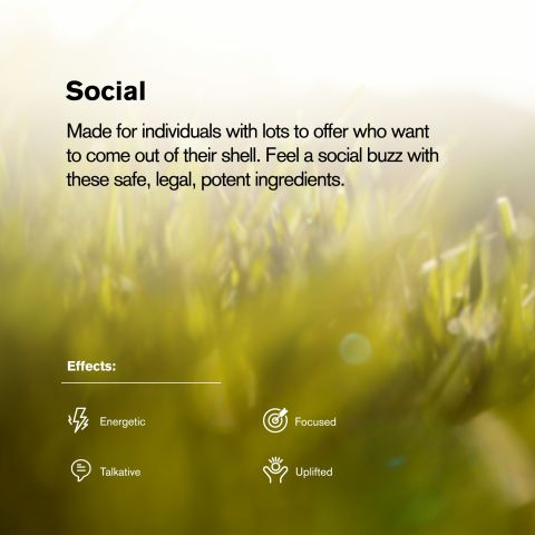 Strawberry Mimosa Flower - THCA - Sativa - Thumbnail 5