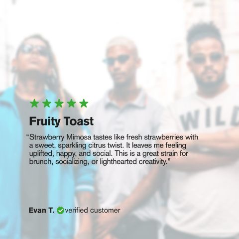 Strawberry Mimosa Flower - THCA - Sativa - Thumbnail 6