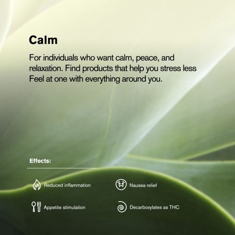 Mendo Breath Flower - THCA - Indica - Thumbnail 5