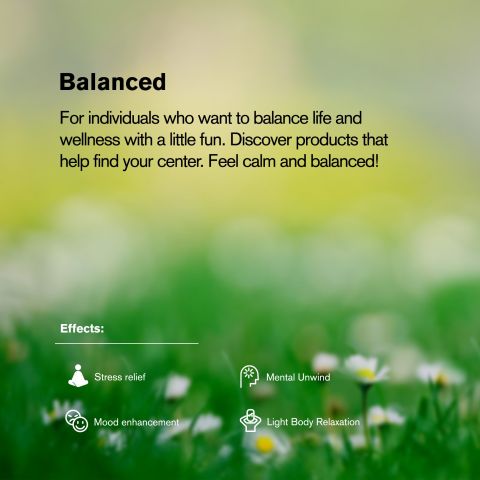 20mg Cat's Claw Tablets - Mango - Chill Plus - Thumbnail 7