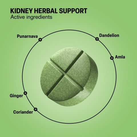 500mg - Kidney Herbal Support - Lemon Mint - Mood Tablets - Thumbnail 5