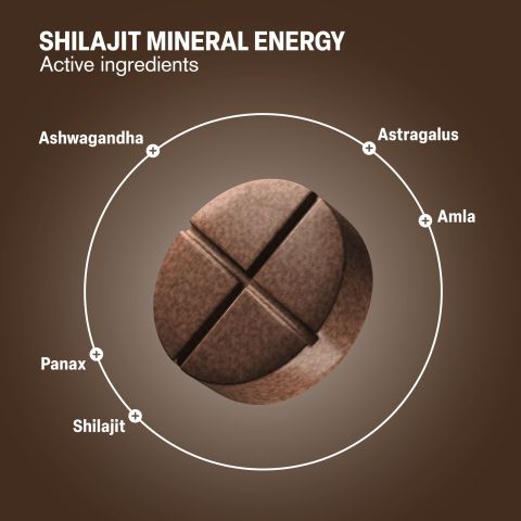 500mg - Shilajit Mineral Energy - Dark Chocolate Mint - Mood Tablets - Thumbnail 5