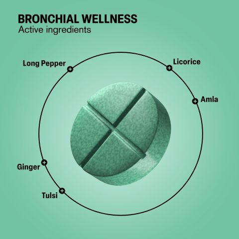 500mg - Bronchial Wellness - Eucalyptus Mint - Mood Tablets - Thumbnail 5