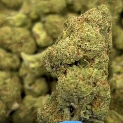 Cadillac Rainbow Flower - THCA - Hybrid - Video Thumbnail 1