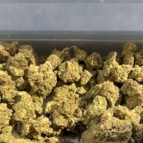 AK47 Flower - THCA - Hybrid - Video Thumbnail 1