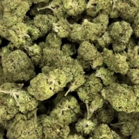 Area 41 Flower - THCA - Hybrid - Video Thumbnail 1