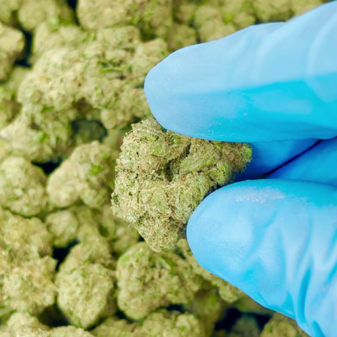 Banana Flower - THCA - Hybrid - Video Thumbnail 1