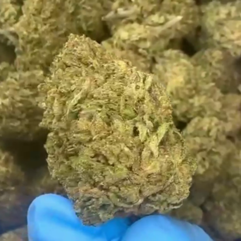 Cotton Candy Flower - THCA - Hybrid - Video Thumbnail 1