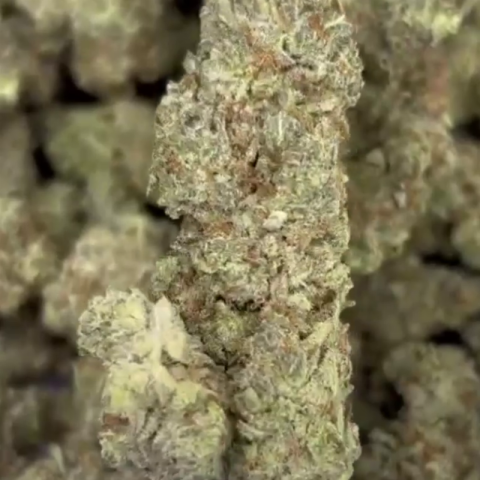 Dante's Inferno Flower - THCA - Hybrid - Video Thumbnail 1