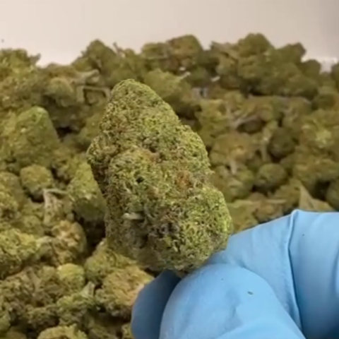 Sundae Driver Flower - THCA - Hybrid - Video Thumbnail 1