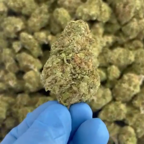 Grape Runtz Flower - THCA - Hybrid - Video Thumbnail 1