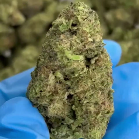Gush Mintz Flower - THCA - Indica - Video Thumbnail 1