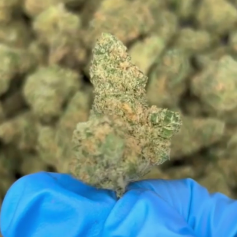 Hammerhead Flower - THCA - Indica - Video Thumbnail 1