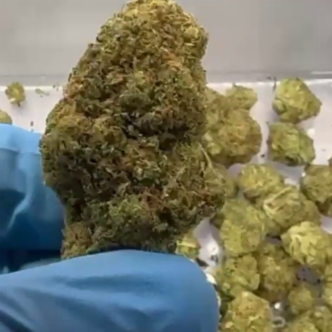 Heavy OG Flower - THCA - Hybrid - Video Thumbnail 1
