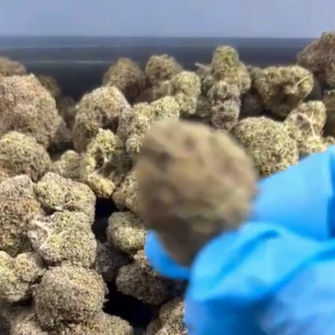 Ice Cream Cake Flower - THCA - Indica - Video Thumbnail 1