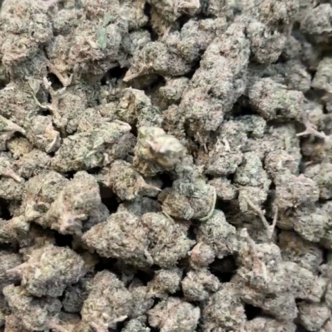 Key Lime Jack Flower - THCA - Hybrid - Video Thumbnail 1