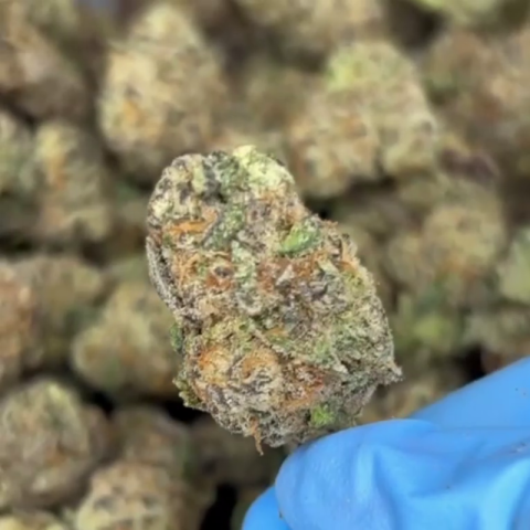 Lava Cake Flower - THCA - Indica - Video Thumbnail 1