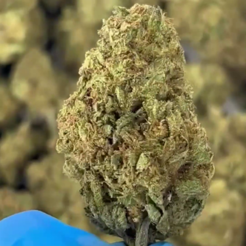 Legend OG Flower - THCA - Indica - Video Thumbnail 1