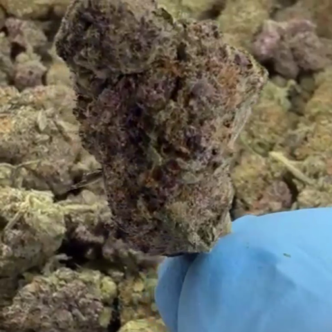 Melonatta Flower - THCA - Hybrid - Video Thumbnail 1