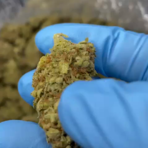 Ménage Flower - THCA - Indica - Video Thumbnail 1