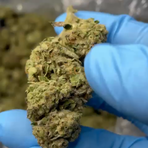 PBJ Flower - THCA - Hybrid - Video Thumbnail 1