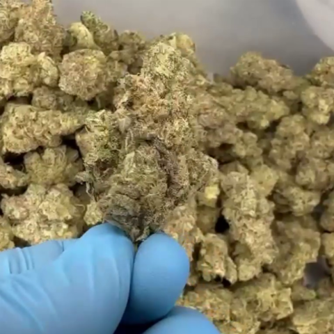 Peanut Butter Breath Flower - THCA - Hybrid - Video Thumbnail 1