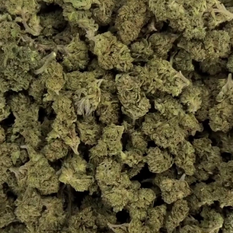 Red Congolese Flower - THCA - Sativa - Video Thumbnail 1