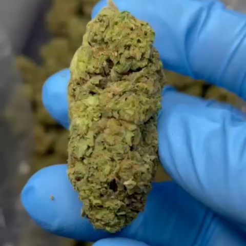 Runtz Flower - THCA - Hybrid - Video Thumbnail 1