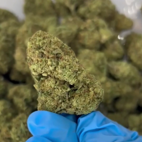 Secret Breakfast Flower - THCA - Hybrid - Video Thumbnail 1