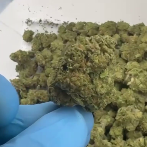 Sherbadough Flower - THCA - Hybrid - Video Thumbnail 1
