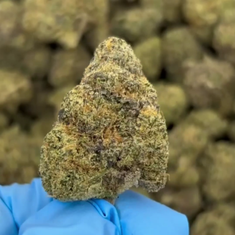 Sherbert Flower - THCA - Hybrid - Video Thumbnail 1