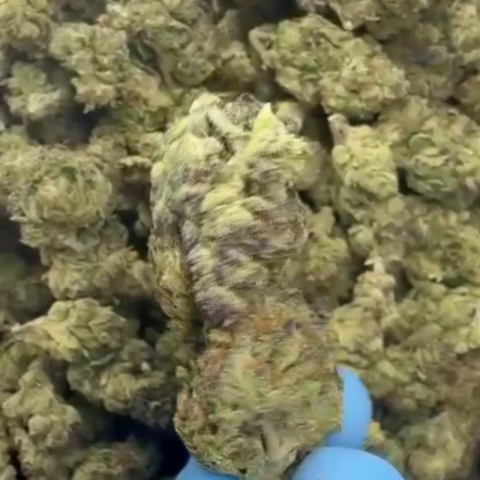Silver Haze Flower - THCA - Sativa - Video Thumbnail 1