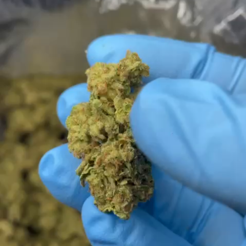 Wedding Pie Flower - THCA - Indica - Video Thumbnail 1